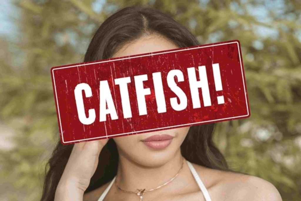 catfish scammers